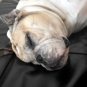 Meet your Posher, Therese